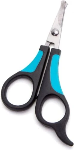 Nobleza Potenschaar - Snuitschaar - Stompe Schaar - Hondenschaar - Afgerond - Honden En Katten - RVS 11 Nobleza Potenschaar - Snuitschaar - Stompe Schaar - Hondenschaar - Afgerond - Honden En Katten - RVS -Merkloos Winkel 592x1200 1