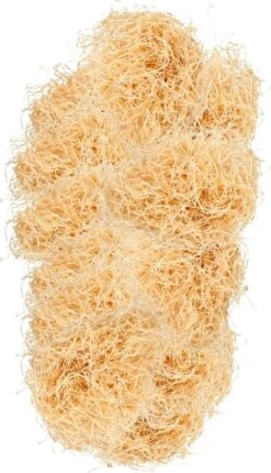 Dieren Begraafkist, Dieren Grafkist, Dieren Doodskist Voor Kat, Konijn Of Hond, Huisdier Begraven (100% Afbreekbaar) -Merkloos Winkel 689x1200