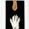 PrintMe - Paw Print Pad - Groter Formaat - Pootafdruk Maken Van Hond Of Kat - Zeer Gemakkelijk - Verbeterd Formaat! - Geen Inkt Op De Poot Van Uw Huisdier- Groot - Leuk Als Cadeau! -Merkloos Winkel 750x1200 6