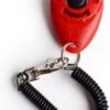 Merkloos Petshop ACE – Clicker – Hond – Training – Honden Training – Met Bevestiging - Rood 1 Merkloos Petshop ACE – Clicker – Hond – Training – Honden Training – Met Bevestiging - Rood -Merkloos Winkel 779x1200 1