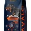 Avalon Petfood Original - Hondenvoer - 20 Kg 1 Avalon Petfood Original - Hondenvoer - 20 Kg -Merkloos Winkel 795x1200
