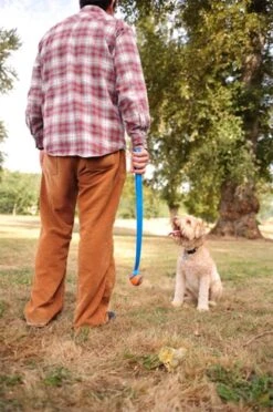 Chuckit! Ultra Ball M – Honden Speelgoed – Hondenbal– Drijft Op Water – Stuitert – Veilig Voor Gebit – Honden Bal – Ideaal Met De Ballenwerper – Ø 6cm – Oranje/Blauw – Hondenspeeltjes– 4-Pack -Merkloos Winkel 797x1200 5