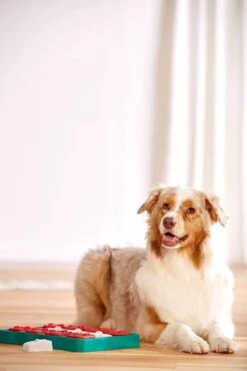 Nina Ottosson - Hondenspel - Dog Brick 15 Nina Ottosson - Hondenspel - Dog Brick -Merkloos Winkel 799x1200 5