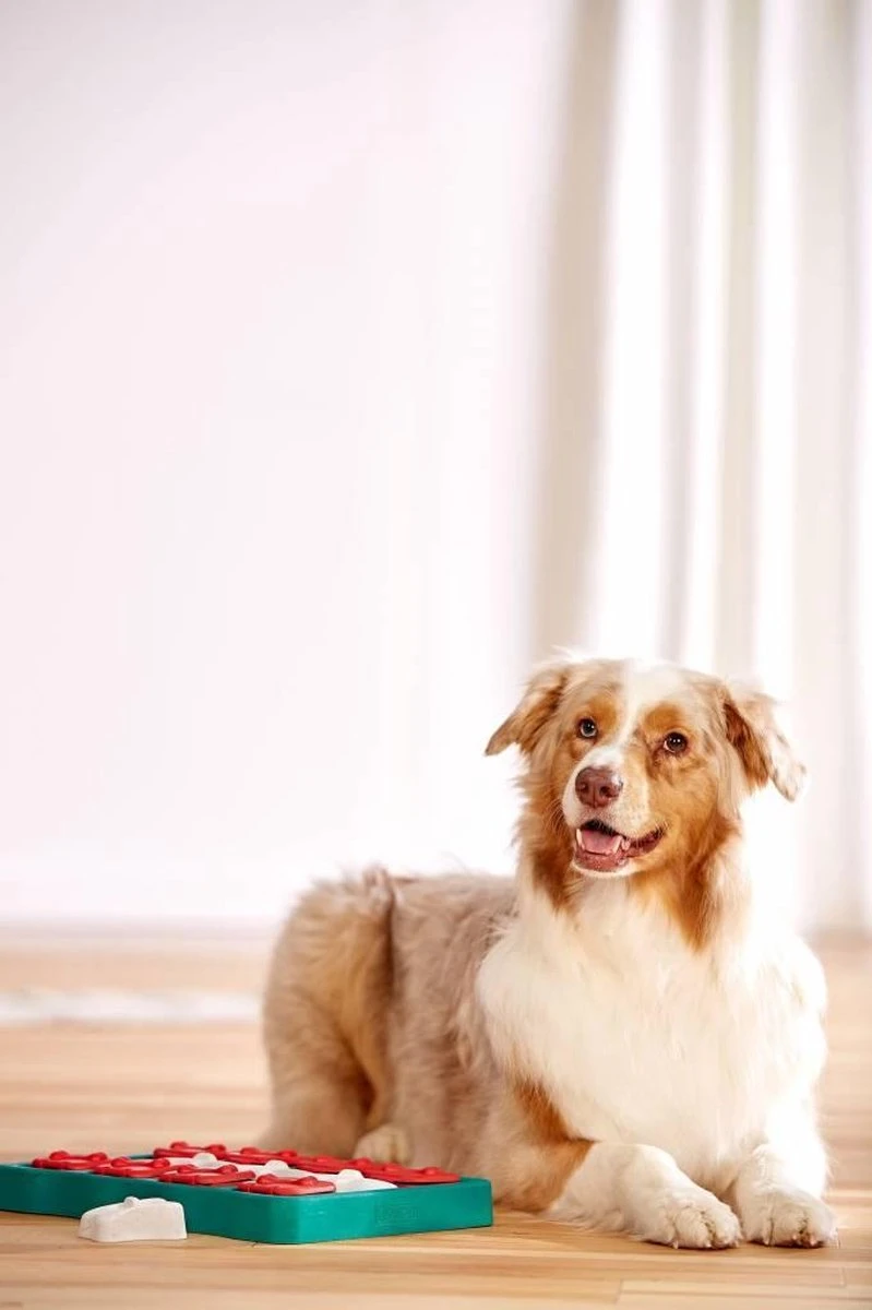 Nina Ottosson - Hondenspel - Dog Brick 7 Nina Ottosson - Hondenspel - Dog Brick - Afbeelding 5