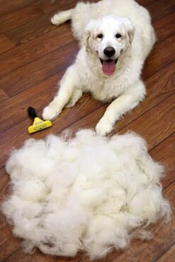 Furminator® Hond Langhaar - Vermindert Haaruitval Tot 90% - Hondenborstel - L 13 Furminator® Hond Langhaar - Vermindert Haaruitval Tot 90% - Hondenborstel - L -Merkloos Winkel 800x1200 1