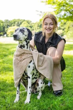 Pepets© – Hondenhanddoek – Honden Handdoek – Microvezel Handdoek – Handdoek Hond – Hondendeken – Droogdoek Hond – Dierendeken – Absorberend – 100*50CM - Beige - GRATIS Zonnebril -Merkloos Winkel 800x1200 6