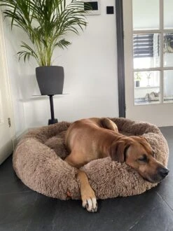 Happysnoots Hondenmand Met Rits - 80cm - Hondenbed - Donut Dog Bed - Fluffy - Grijs - Wasbaar 29 Happysnoots Hondenmand Met Rits - 80cm - Hondenbed - Donut Dog Bed - Fluffy - Grijs - Wasbaar -Merkloos Winkel 899x1200 11