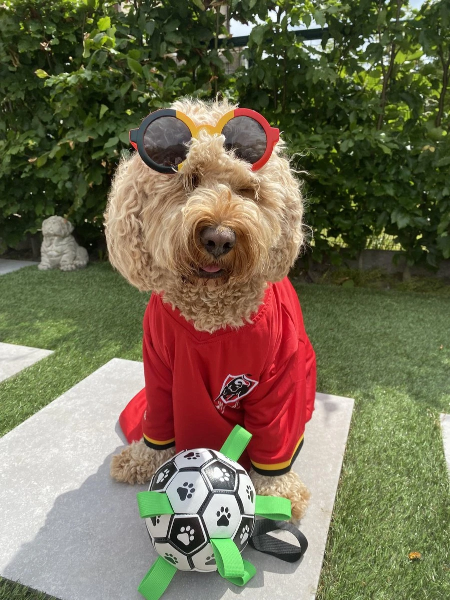 Honden Speelgoed Bal Voetbal Extra Sterk Met Handvaten Ball Hondenbal - 15 Cm - Dutchwide 11 Honden Speelgoed Bal Voetbal Extra Sterk Met Handvaten Ball Hondenbal - 15 Cm - Dutchwide - Afbeelding 9