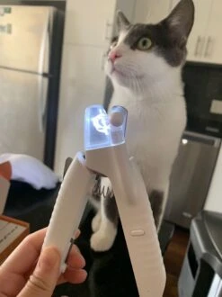 SunnyPets - Professionele Dieren Nagelknipper - Wit - Met LED En Vijl - Hond - Kat - Geschikt Voor Alle - Nageltang -Merkloos Winkel 899x1200 3