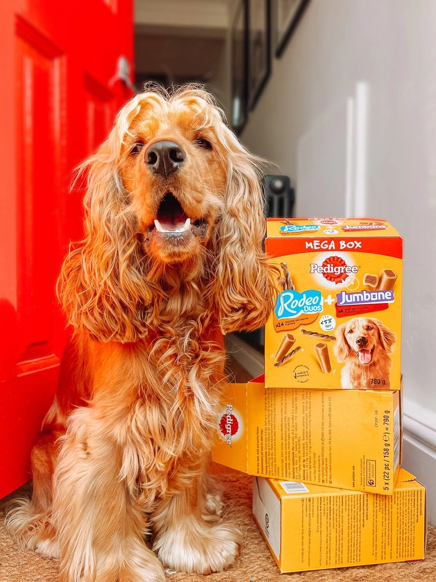 Pedigree Megabox Hondensnacks - 24 X Rodeo En 4 X Jumbone - 780 Gr 5 Pedigree Megabox Hondensnacks - 24 X Rodeo En 4 X Jumbone - 780 Gr - Afbeelding 3