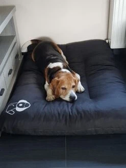 Hondenkussen XL - Donkergrijs - 60 X 90 X 12 -Merkloos Winkel 900x1200 14