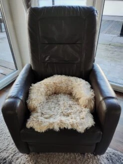 Kussen Voor Kat Of Kleine Hond | Fluffy Dierenkussen Van Pluche | Kat | Bank | Mand | Kattenmand | Kattendeken & Bankbeschermer Max. 15 Kg | Beige | Maat XS -Merkloos Winkel 900x1200 15