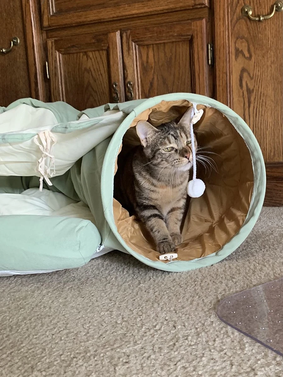 Pishoo® Kattentunnel - Speeltunnel Kat - Kattenspeeltjes - Kattenmand - Kattenhuis - Lichtgroen 13 Pishoo® Kattentunnel - Speeltunnel Kat - Kattenspeeltjes - Kattenmand - Kattenhuis - Lichtgroen - Afbeelding 11