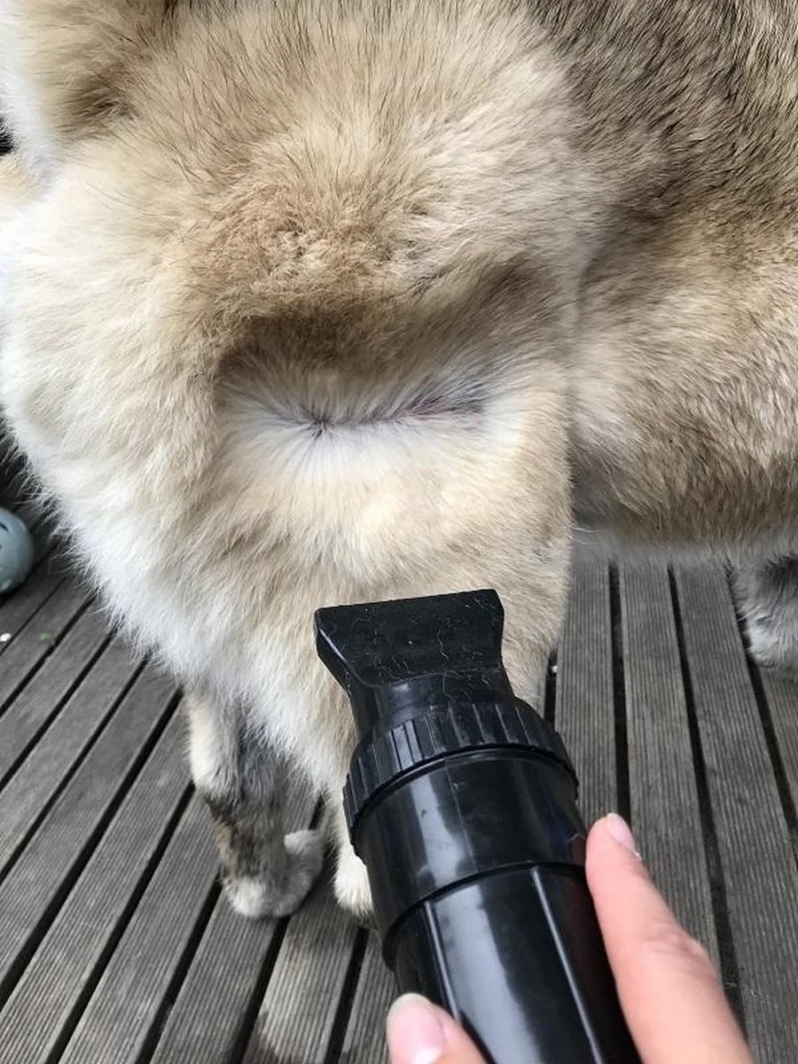 Waterblazer Hond - Hondendroger 8 Waterblazer Hond - Hondendroger - Afbeelding 6