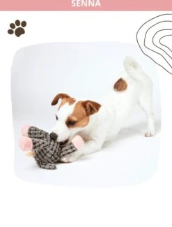 Honden Knuffel - Set Van 2 - Hondenspeelgoed Met Piep - Honden En Katten - Ezel En Giraf - Sellaio 19 Honden Knuffel - Set Van 2 - Hondenspeelgoed Met Piep - Honden En Katten - Ezel En Giraf - Sellaio -Merkloos Winkel 912x1200 10