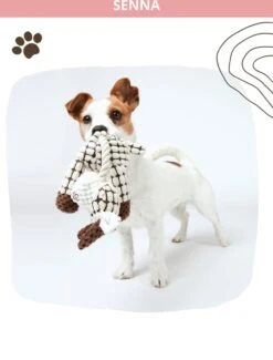 Honden Knuffel - Set Van 2 - Hondenspeelgoed Met Piep - Honden En Katten - Ezel En Giraf - Sellaio 21 Honden Knuffel - Set Van 2 - Hondenspeelgoed Met Piep - Honden En Katten - Ezel En Giraf - Sellaio -Merkloos Winkel 912x1200 11