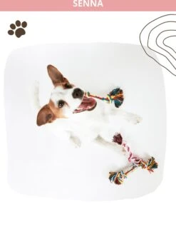 Speeltouw Hond - 3 Stuks - Speelgoed Hond - Flostouw - Hondenspeelgoed - Puppy - Trektouw -Merkloos Winkel 912x1200 3