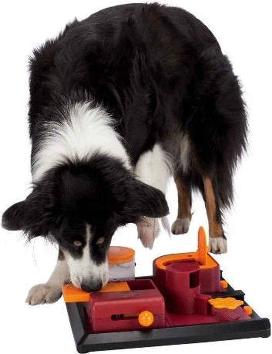 Trixie Dog Activity Poker Box 2 31x31 Cm 11 Trixie Dog Activity Poker Box 2 31x31 Cm - Afbeelding 9