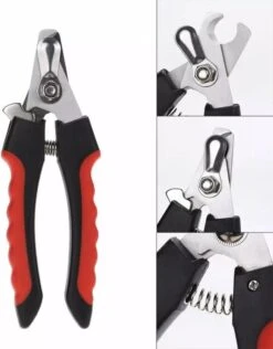 Nagelschaar Voor Dieren- Nagelknipper- Kat- Hond- Vogel Nagelschaartje - Huisdieren - Nail Clipper- Nail Cutter -Merkloos Winkel 938x1200 1