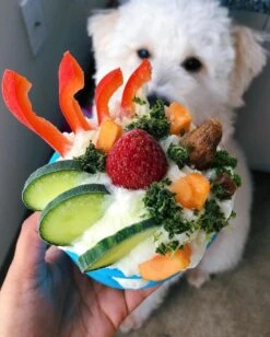 West Paw Toppl Zogoflex - Uitdagend En Sterk Speelgoed Voor Honden - Slowfeeder - Vulbaar Met Voer Of Snacks - Kleur: Groen, Maat: Large 29 West Paw Toppl Zogoflex - Uitdagend En Sterk Speelgoed Voor Honden - Slowfeeder - Vulbaar Met Voer Of Snacks - Kleur: Groen, Maat: Large -Merkloos Winkel 962x1200 6