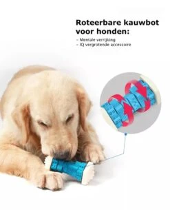 3-in-1 Hondenkauwbot - Gebitsverzorging - IQ Training - Voedsel Afgifte Functie - Geometrisch Ontwerp - Duurzaam & Milieuvriendelijk - Kauwbot - Honden - Hondenbot - Rood 12 3-in-1 Hondenkauwbot - Gebitsverzorging - IQ Training - Voedsel Afgifte Functie - Geometrisch Ontwerp - Duurzaam & Milieuvriendelijk - Kauwbot - Honden - Hondenbot - Rood -Merkloos Winkel 972x1200 3