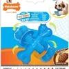 Nylabone Flexi Voor Honden Puppy Teething X Bone Beef Tot 11 Kg 1 Nylabone Flexi Voor Honden Puppy Teething X Bone Beef Tot 11 Kg -Merkloos Winkel 972x1200 4