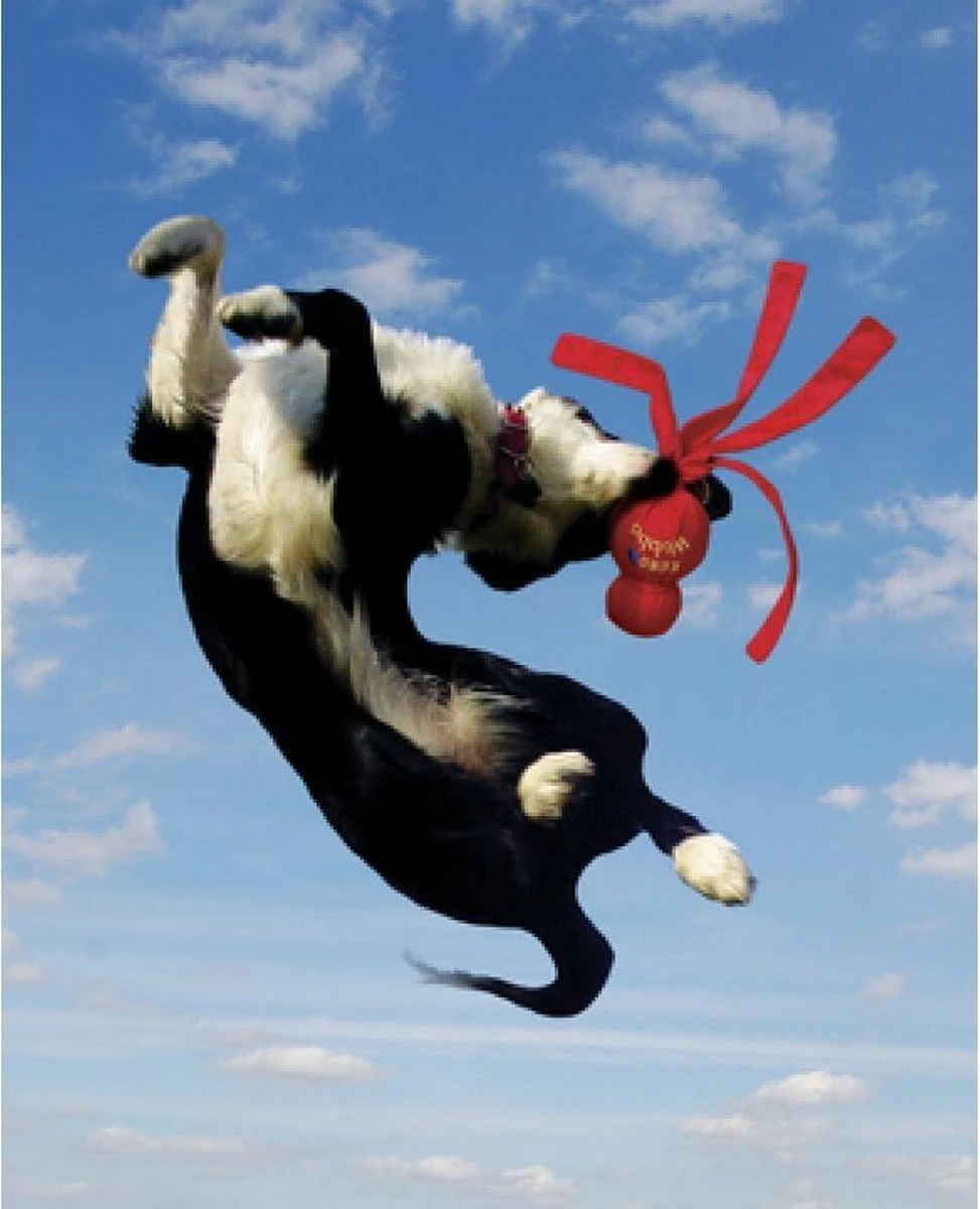 Kong Wubba - Hondenspeelgoed - Assorti - S: 24 Cm 5 Kong Wubba - Hondenspeelgoed - Assorti - S: 24 Cm - Afbeelding 3