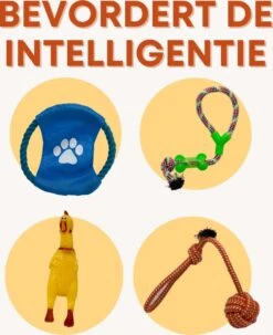 (Goedkoopste) Honden Speelgoed Set 15 Stuks Geschikt Voor Puppy's T/m Middelgrote Honden - Honden Kauw Speelgoed - 15 Stuks - Hondenspeeltjes - Intelligentie - Touw - Flostouw - Bijtring - Bal - Huisdieren Speelgoed -Merkloos Winkel 979x1200 3