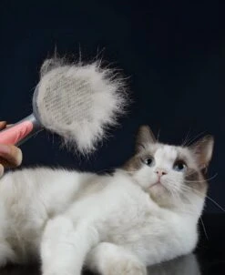 Pakeway T9 - Kattenborstel - Zelfreinigende Kattenkam - Roze - Massageborstel - 19,3 Cm -Merkloos Winkel 983x1200