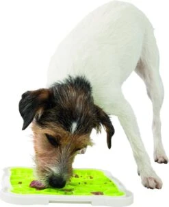 Trixie Lick’n'Snack Likplaat 34 Trixie Lick’n'Snack Likplaat -Merkloos Winkel 983x1200 4