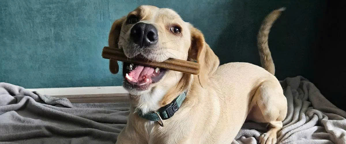 Merkloos Winkel -Merkloos Winkel gen n z7134478894437 9ade740ede67c440e79bbf77763d3431